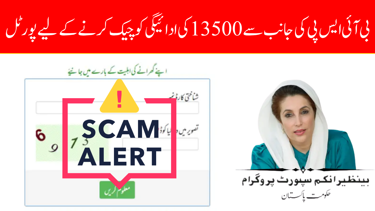 Avoid BISP 8171 July 2025 Scams – Safe Methods to Check Your Payment Status Online in Punjab